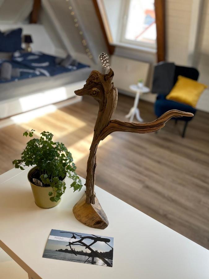 Ferienwohnung Schneider FDH Esterno foto